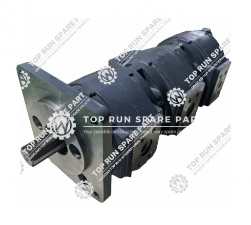 Hydraulic Gear Pump 1010000010