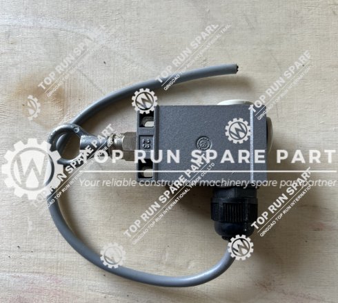 Limit switch - SANY CRANE B241200000898