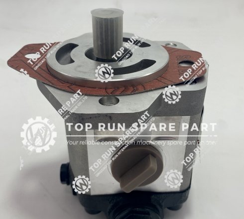 Steering Gear Pump 803000065