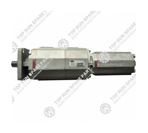 Hydraulic pump  1010000281