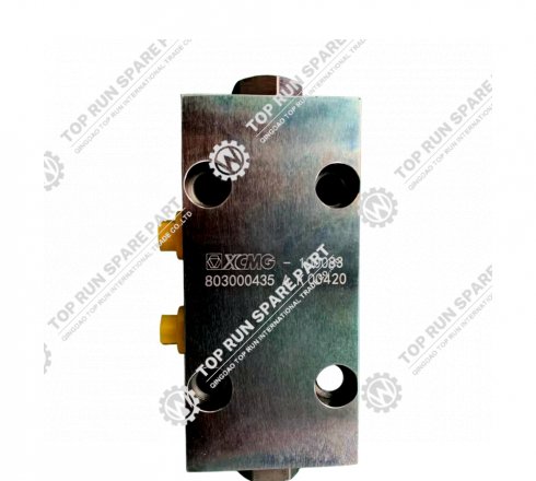 Two way Lock Hydraulic valve 803000435