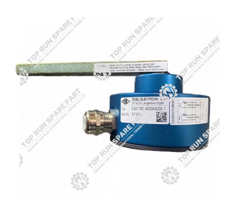 Angle sensor 530760-A00AX20-1