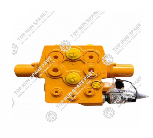 SWING VALVE 803045374