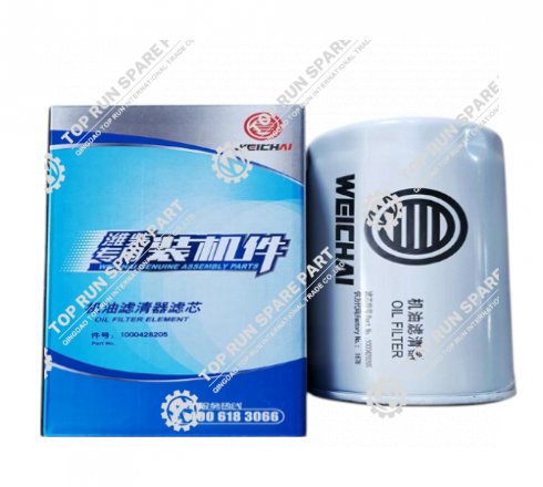 Oil Filter Element 1000428205