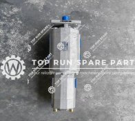 Hydraulic Pump 803000260 (2)