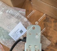 Limit switch 1020520125 (3)