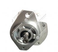 Hyd pump 0510 765 056 (6)