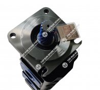 Gear pump 60250780 (5)