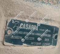 Casappa Tendem pumps  (2)