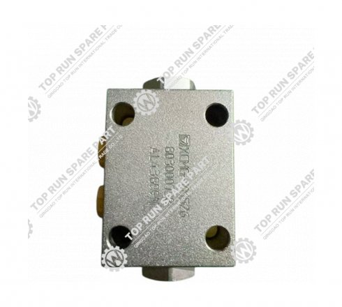 Hydraulic Two Way Lock Balance valve 803000738 for XCMG Crane parts