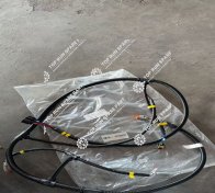 Wire Harness 113h-07D-03000 (2)