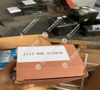 Fuel filter J117-03C-010210 (1)