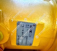 Winch Pump Motor 803000484 (3)