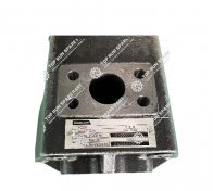 Gear pump 101000079 (1)