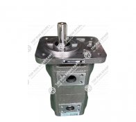 Gear pump 101000079 (2)