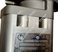 3.Steering Pump 803083973