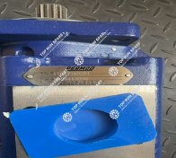 High Pressure Gear Pump 11631340081 (6)