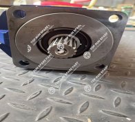 High Pressure Gear Pump 11631340081 (9)