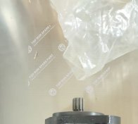 Pump power steering 4988941 sany 50ton (2)